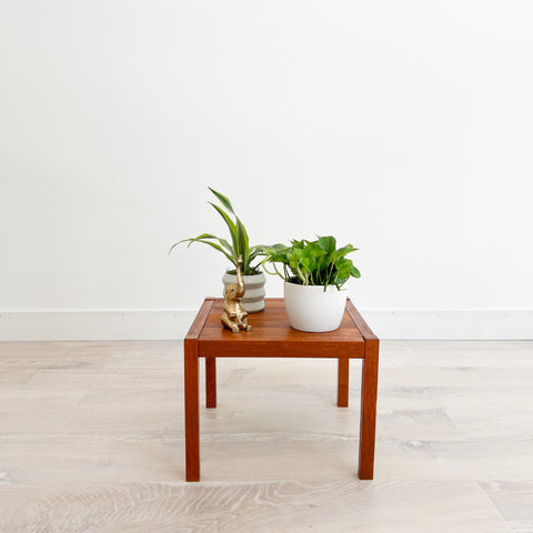 Petite Danish Teak End Table/Plant Stand