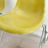 Set of 6 Rare Yellow Herman Miller Shell Chairs