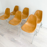 Set of 6 Rare Ochre Light Herman Miller Shell Chairs