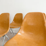 Set of 6 Rare Ochre Light Herman Miller Shell Chairs