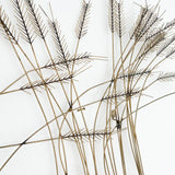 Brass Metal Wheat Flowers