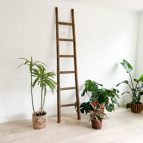 Primitive Wooden Ladder