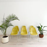 Set of 6 Rare Yellow Herman Miller Shell Chairs