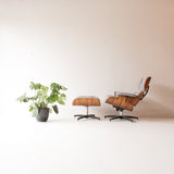 Eames Lounge Chair and Ottoman Replica