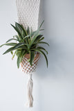 Simple Macrame Plant Hanger