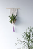 Macrame Plant Hanger with Purple Fringe