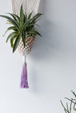 Macrame Plant Hanger with Purple Fringe