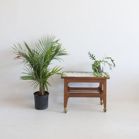 Mid Century Cart