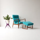 Sculpted Lounge Chair with Ottoman