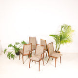 Set of 5 Habeo Dining Chairs