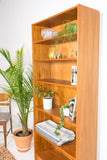 Danish Teak Bookshelf