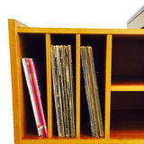 Danish Teak Media Cabinet
