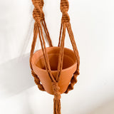 Maple Plant Hanger