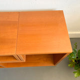 Vintage Expandable Teak Media Center