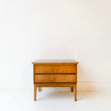 Mid Century Modern Nightstand by Dixie