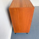 Danish Teak Tambour Door Media Cabinet