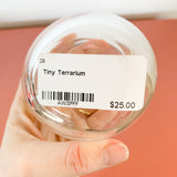 Tiny Terrarium
