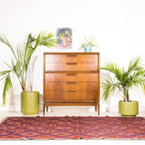 Mid Century Walnut Highboy Dresser