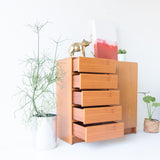 Danish Teak Dresser/Armoire by Scan Coll