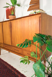 Danish Teak Highboard on Tapered Legs