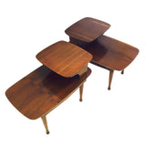 Mid Century Coffee & End Tables Set